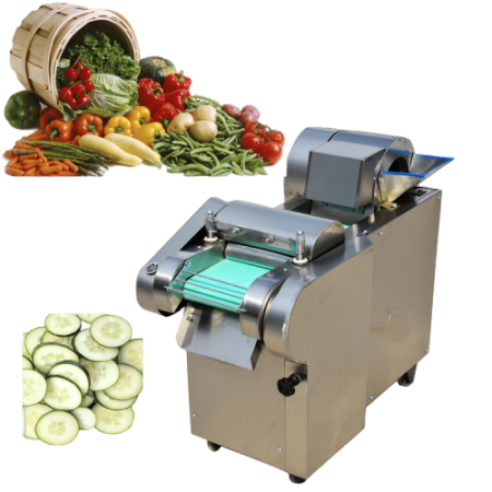 Vegetable & Fruit Processing Equipment